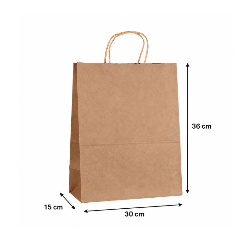 Large Kraft Brown bag with twist handle (pack of 10)