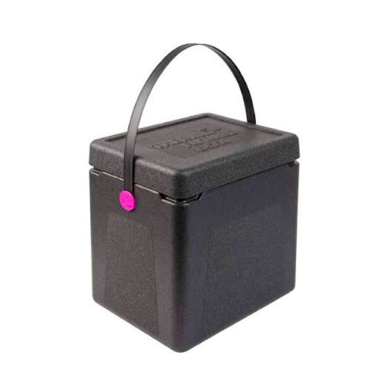 Thermo Future Box -Carrying handle - 20 Litres ( Pink )